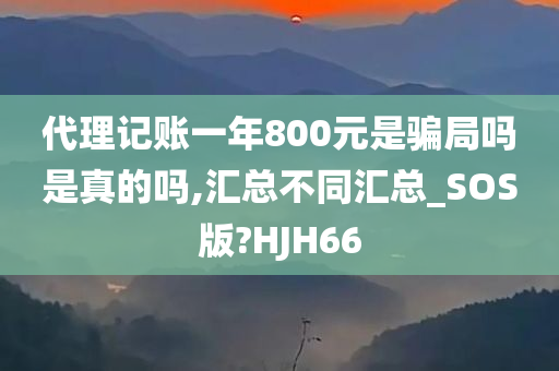 代理记账一年800元是骗局吗是真的吗,汇总不同汇总_SOS版?HJH66