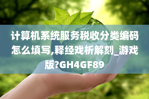 计算机系统服务税收分类编码怎么填写,释经戏析解刻_游戏版?GH4GF89