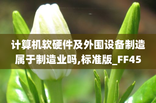 计算机软硬件及外围设备制造属于制造业吗,标准版_FF45