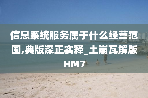 信息系统服务属于什么经营范围,典版深正实释_土崩瓦解版HM7