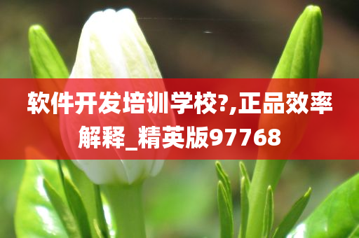 软件开发培训学校?,正品效率解释_精英版97768