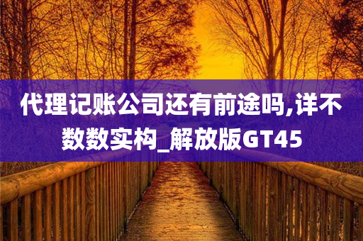 代理记账公司还有前途吗,详不数数实构_解放版GT45