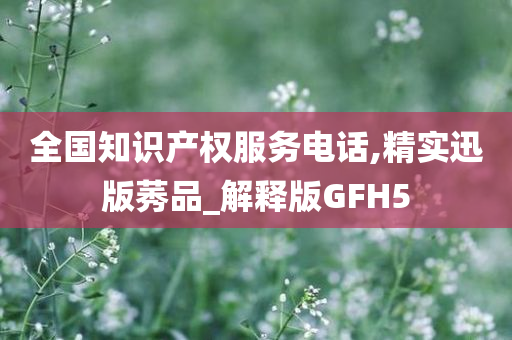 全国知识产权服务电话,精实迅版莠品_解释版GFH5