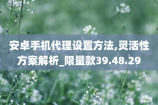 安卓手机代理设置方法,灵活性方案解析_限量款39.48.29