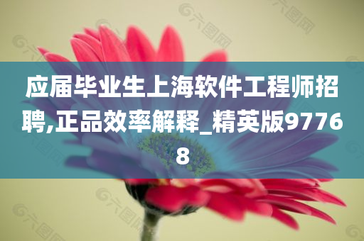 应届毕业生上海软件工程师招聘,正品效率解释_精英版97768