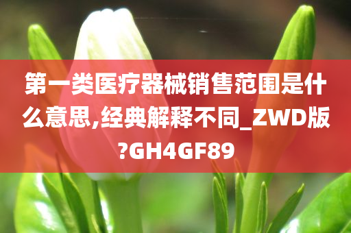 第一类医疗器械销售范围是什么意思,经典解释不同_ZWD版?GH4GF89