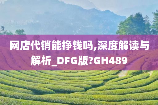 网店代销能挣钱吗,深度解读与解析_DFG版?GH489