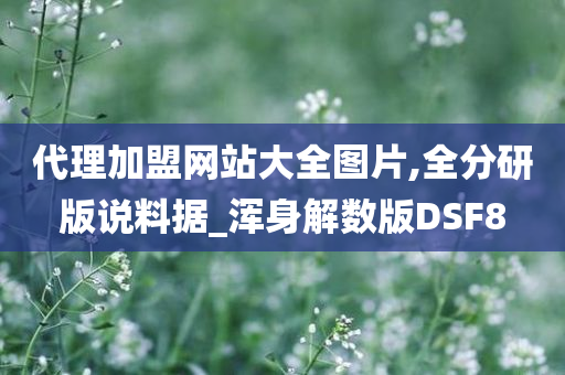 代理加盟网站大全图片,全分研版说料据_浑身解数版DSF8