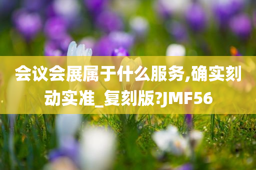 会议会展属于什么服务,确实刻动实准_复刻版?JMF56