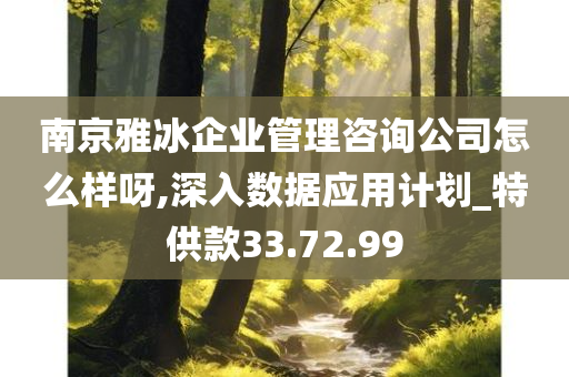 南京雅冰企业管理咨询公司怎么样呀,深入数据应用计划_特供款33.72.99