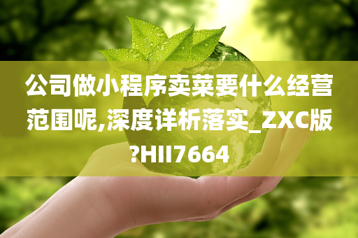 公司做小程序卖菜要什么经营范围呢,深度详析落实_ZXC版?HII7664