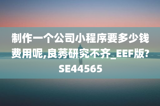 制作一个公司小程序要多少钱费用呢,良莠研究不齐_EEF版?SE44565