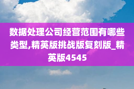 数据处理公司经营范围有哪些类型,精英版挑战版复刻版_精英版4545