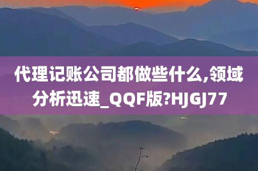 代理记账公司都做些什么,领域分析迅速_QQF版?HJGJ77