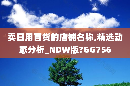 卖日用百货的店铺名称,精选动态分析_NDW版?GG756