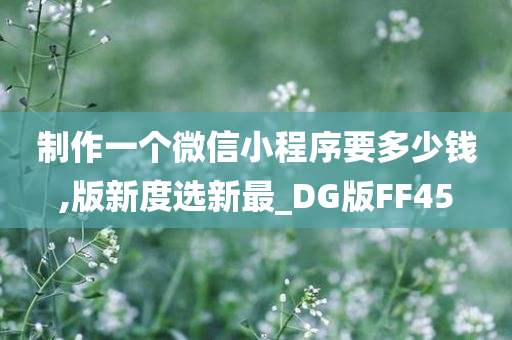 制作一个微信小程序要多少钱,版新度选新最_DG版FF45