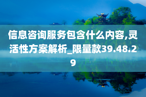 信息咨询服务包含什么内容,灵活性方案解析_限量款39.48.29