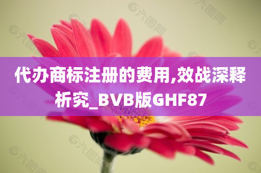 代办商标注册的费用,效战深释析究_BVB版GHF87