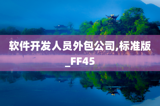 软件开发人员外包公司,标准版_FF45