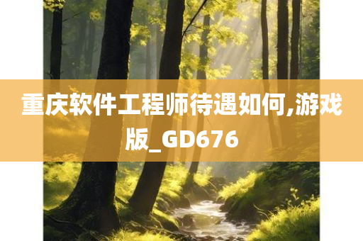 重庆软件工程师待遇如何,游戏版_GD676