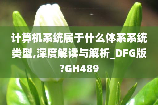 计算机系统属于什么体系系统类型,深度解读与解析_DFG版?GH489