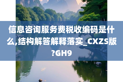 信息咨询服务费税收编码是什么,结构解答解释落实_CXZS版?GH9