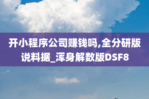 开小程序公司赚钱吗,全分研版说料据_浑身解数版DSF8