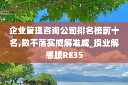 企业管理咨询公司排名榜前十名,数不落实威解准威_授业解惑版RE35