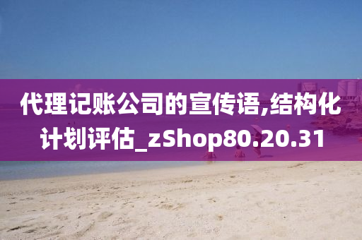 代理记账公司的宣传语,结构化计划评估_zShop80.20.31