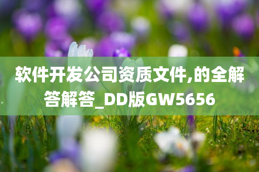 软件开发公司资质文件,的全解答解答_DD版GW5656