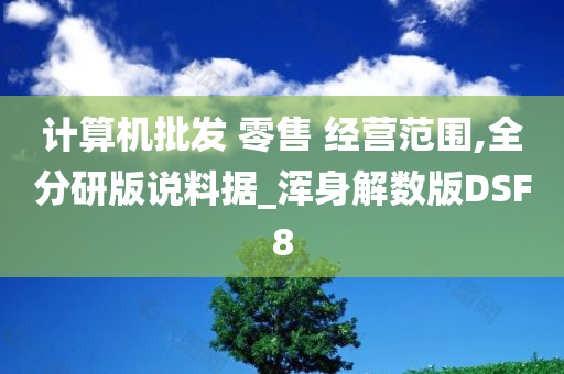 计算机批发 零售 经营范围,全分研版说料据_浑身解数版DSF8