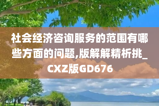 社会经济咨询服务的范围有哪些方面的问题,版解解精析挑_CXZ版GD676