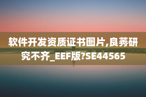 软件开发资质证书图片,良莠研究不齐_EEF版?SE44565