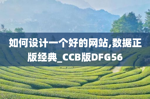 如何设计一个好的网站,数据正版经典_CCB版DFG56