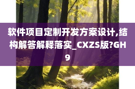 软件项目定制开发方案设计,结构解答解释落实_CXZS版?GH9