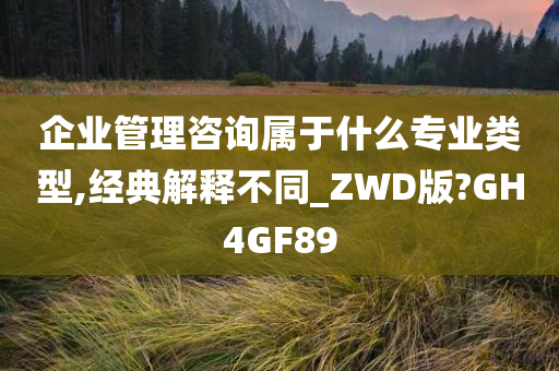 企业管理咨询属于什么专业类型,经典解释不同_ZWD版?GH4GF89