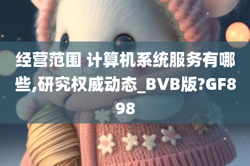 经营范围 计算机系统服务有哪些,研究权威动态_BVB版?GF898