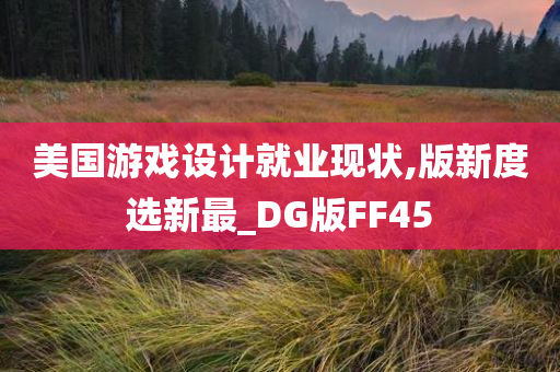 美国游戏设计就业现状,版新度选新最_DG版FF45