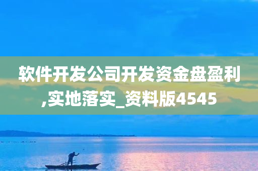 软件开发公司开发资金盘盈利,实地落实_资料版4545