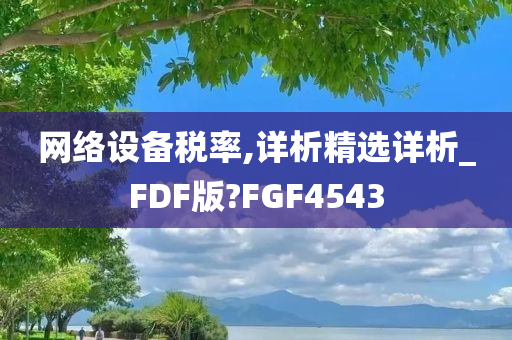 网络设备税率,详析精选详析_FDF版?FGF4543