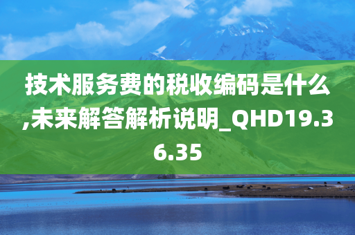 技术服务费的税收编码是什么,未来解答解析说明_QHD19.36.35