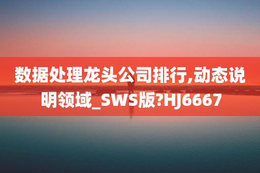 数据处理龙头公司排行,动态说明领域_SWS版?HJ6667