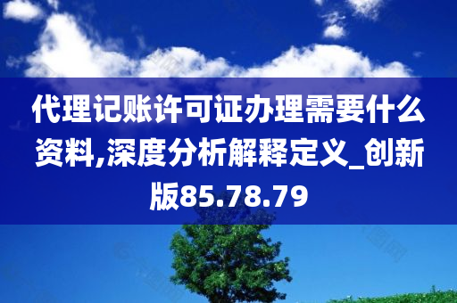 代理记账许可证办理需要什么资料,深度分析解释定义_创新版85.78.79