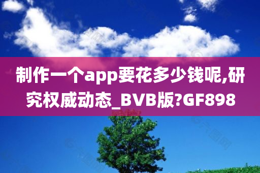 制作一个app要花多少钱呢,研究权威动态_BVB版?GF898