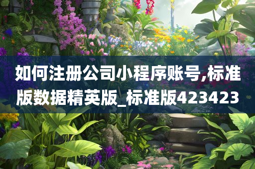 如何注册公司小程序账号,标准版数据精英版_标准版423423