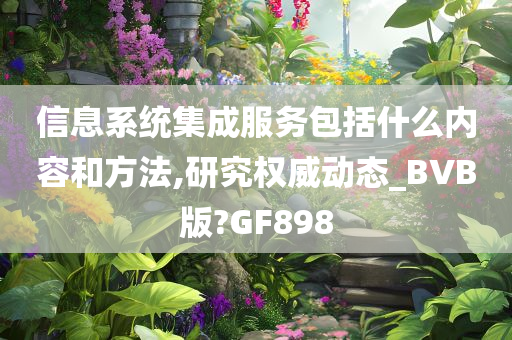 信息系统集成服务包括什么内容和方法,研究权威动态_BVB版?GF898