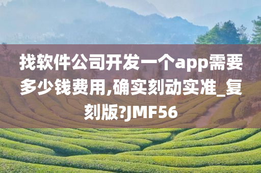 找软件公司开发一个app需要多少钱费用,确实刻动实准_复刻版?JMF56