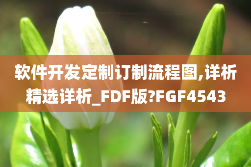 软件开发定制订制流程图,详析精选详析_FDF版?FGF4543