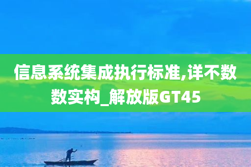 信息系统集成执行标准,详不数数实构_解放版GT45