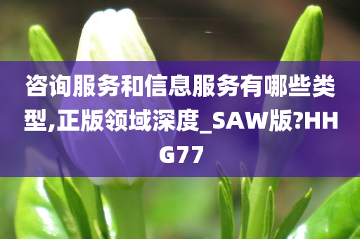 咨询服务和信息服务有哪些类型,正版领域深度_SAW版?HHG77